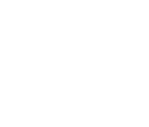 A+A RENAX